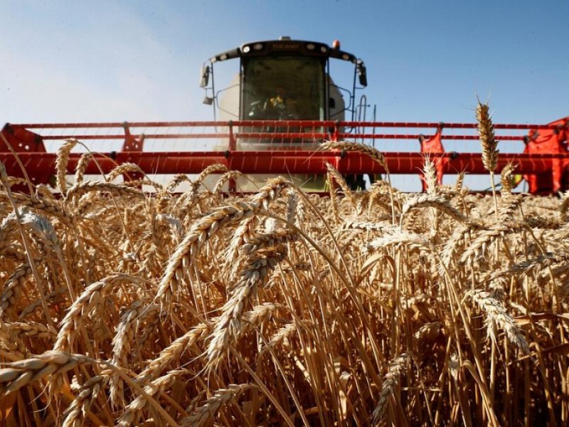 Нефть и зерно - Краткий обзор рынка зерновых