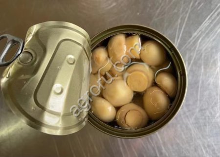 Шампиньоны консервированные