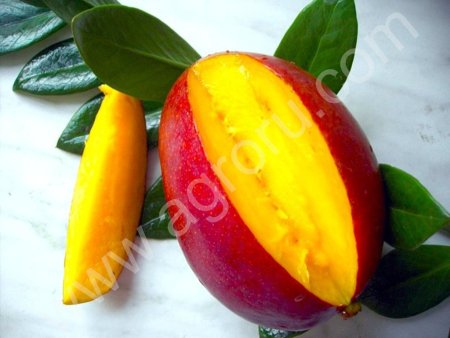 манго свежее