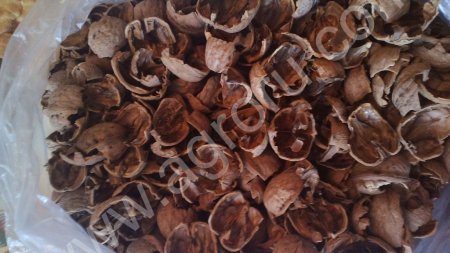 скорлупа грецкого ореха