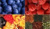 Сушеные ягоды и ягодные порошки