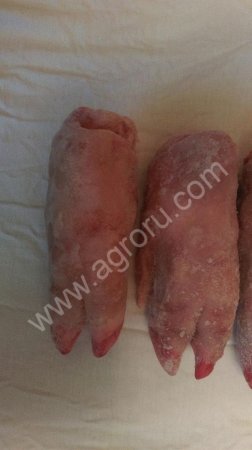 Свиные ноги передние