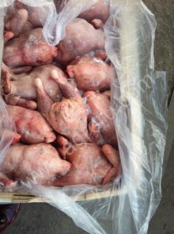 Суповая кура,ЦБ