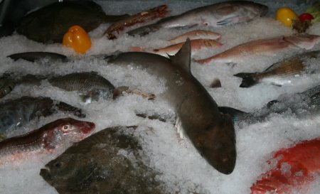 Динамика цен на рыбу Омской области