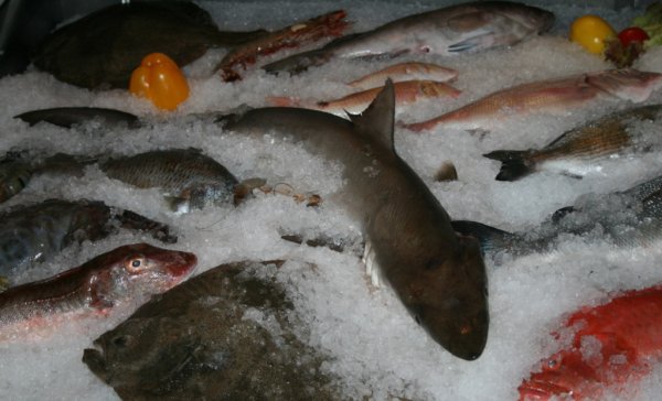 Динамика цен на рыбу Омской области