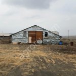 Животноводческая ферма