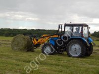 Фестулолиум семена