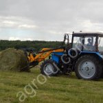 Фестулолиум семена