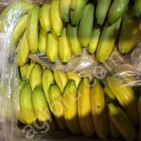 Бананы сорт Кавендиш оптом