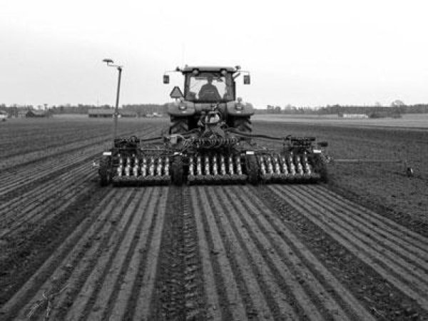 Яровой сев - сводка МСХ РФ