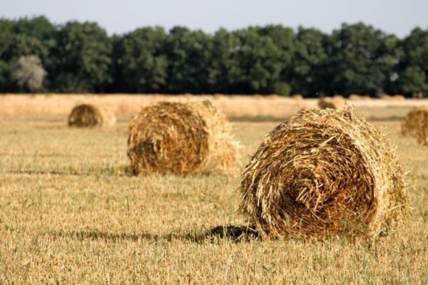 НСА: Космические технологии в агростраховании повысят взаимодоверие между страховщиком и аграрием