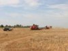 Ставропольские аграрии в 2011г бьют рекорды