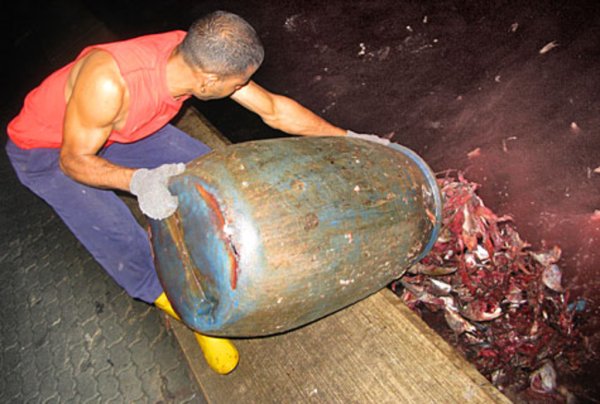 Переработчики рыбы на Аляске выплатят штраф $2,5 млн за сброс отходов