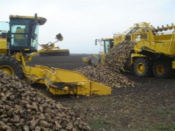 Тамбовские хлеборобы собрали 1 миллион 630 тысяч тонн зерна