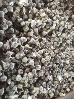 чеснок на перероботку с1, с2, зубки