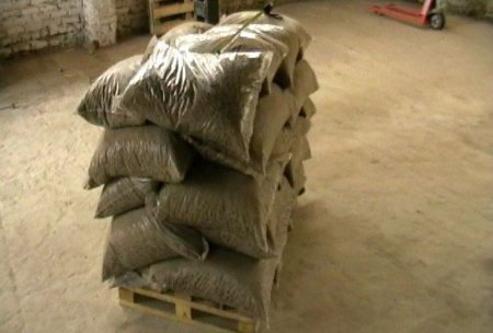 Разгуляй в Воронежской области