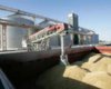Бартер по-ирански: золото и нефть в обмен на зерно