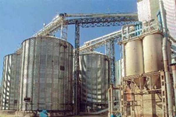 В Воронежской области займутся глубокой переработкой зерна