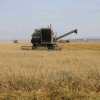 На 6 июля аграрии Украины собрали почти 5 млн т зерна