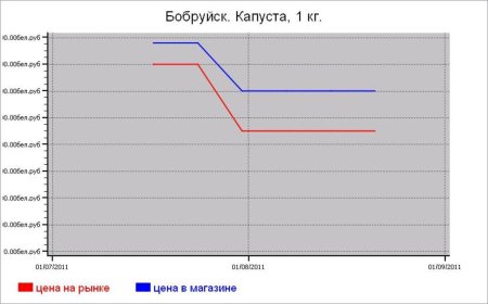 Овощные цены Бобруйска