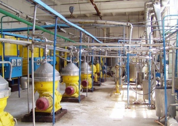 В Ярославской области откроется молзавод мощностью до 350 тонн в сутки