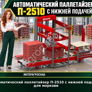 Автоматический паллетайзер П-2510 с нижней подачей для моркови