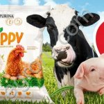 Комбикорма Purina