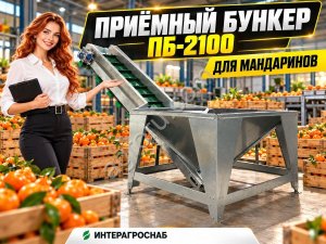Приёмный бункер ПБ-2100 для мандаринов