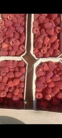 Малина свежая