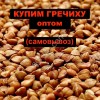 гречиха
