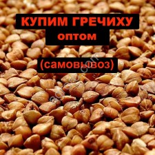 гречиха