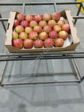 Яблоко оптом