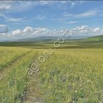 Земля сельхозназначения