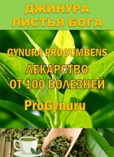 Фиточай Джинура Прокумбенс. Гинура. Сушёный лист.