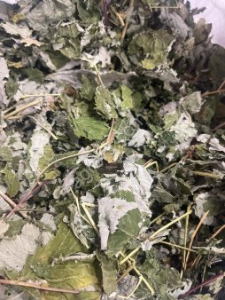 Малина лист