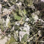 Малина лист