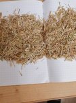 Стебель Ромашки (измельчённый 5-7мм)