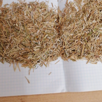 Стебель Ромашки (измельчённый 5-7мм)