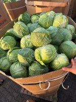 Капуста белокочанная , свежая