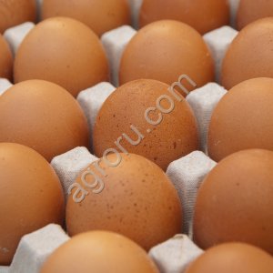 Куриное Яйцо С1