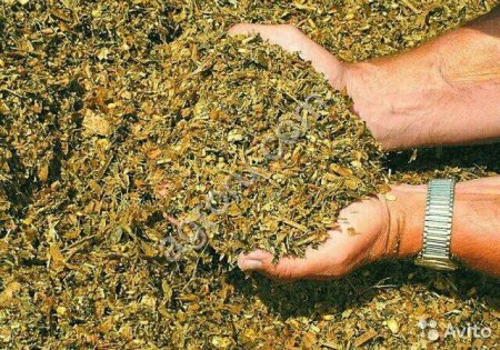 Силос кукурузный 2025г.5000т