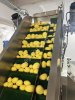 Очищенный картофель в вакууме