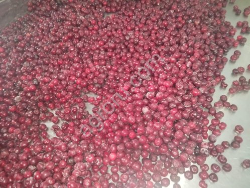 Вишня замороженная с косточкой