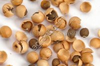 СЕмена хрена (Катран Аккорд)