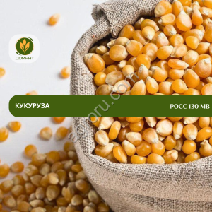 Семена кукурузы РОСС 130 МВ