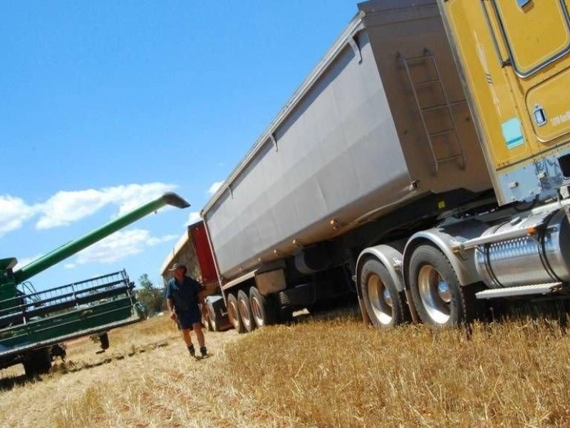 На юге России бастуют до 70% перевозчиков зерна