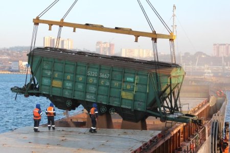 Краткий обзор рынка зерна