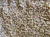 Перловая крупа