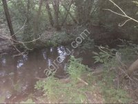 Сельхозземли: пруды, пахотная и луговая