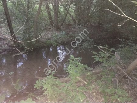 Сельхозземли: пруды, пахотная и луговая